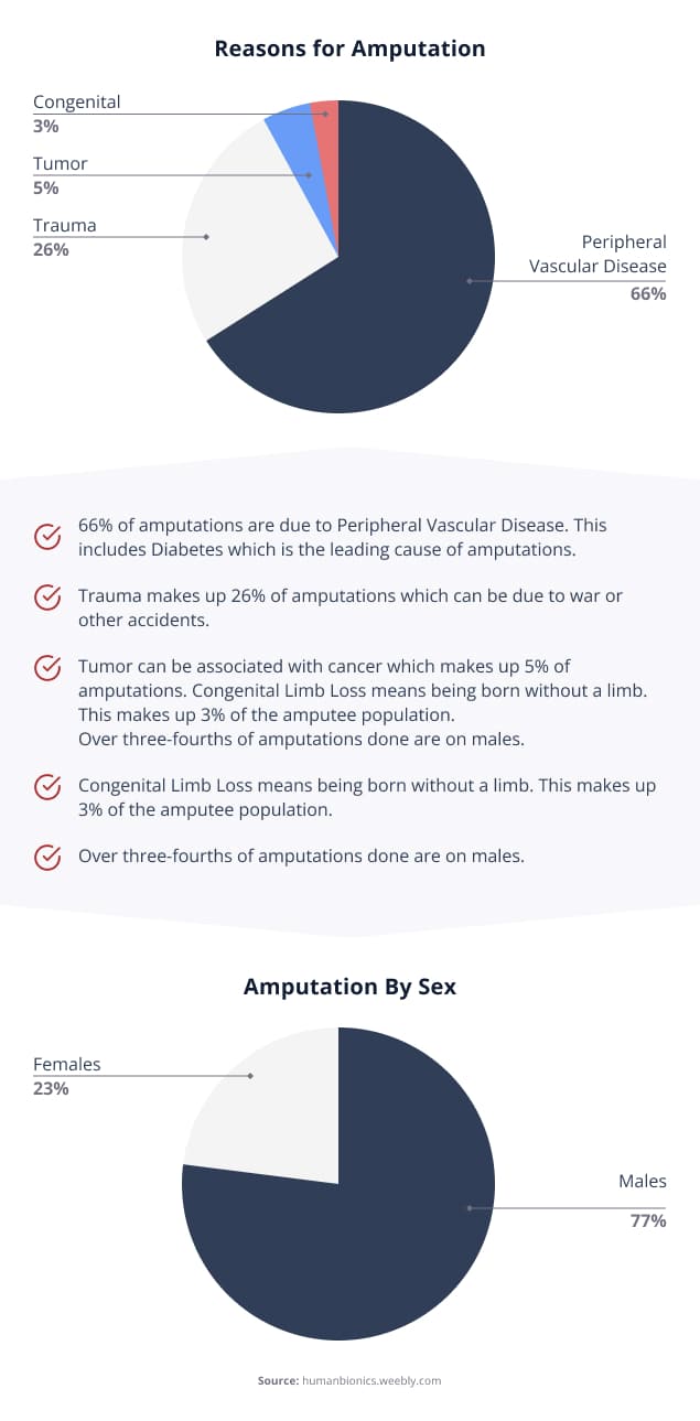 Reasons For Amputation Infographic